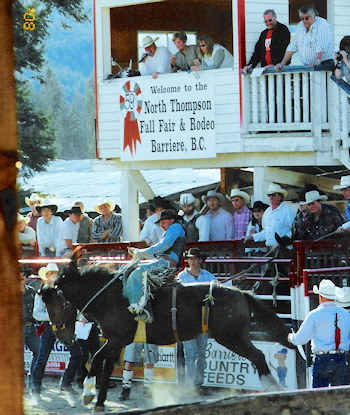 Barriere Rodeo